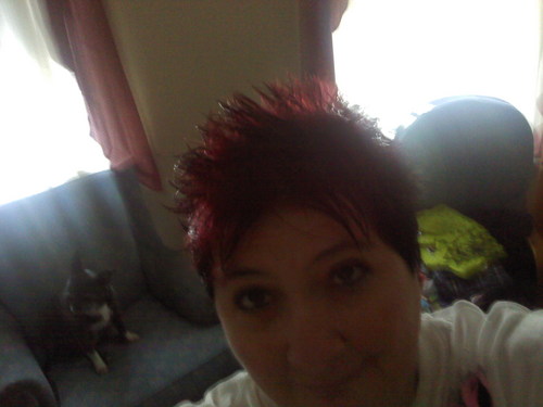 Find Tami Lynn Locklin Phone Number, Location, Email, and more on Intelius