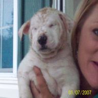 Find Tammy Mabe Young Phone Number, Location, Email, and more on Intelius