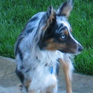 Find Terry M Carr Phone Number, Location, Email, and more on Intelius