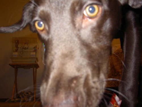 Find Terry L Russell Phone Number, Location, Email, and more on Intelius