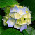 Find Terry Jay Wallace Phone Number, Location, Email, and more on Intelius