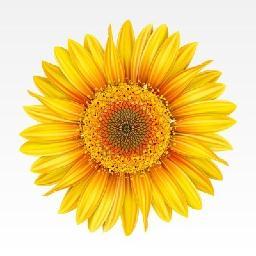 Find Thomas A Baum Phone Number, Location, Email, and more on Intelius