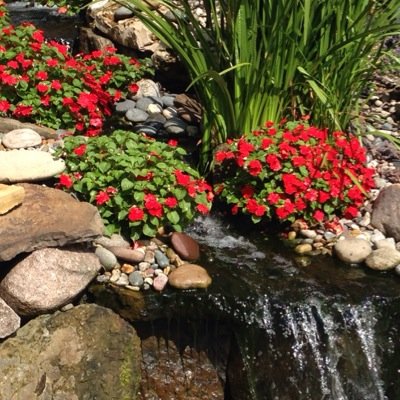 Find Thomas Anthony Bommarito Phone Number, Location, Email, and more on Intelius