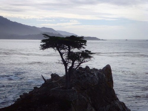 Find Thomas Patrick Floyd Phone Number, Location, Email, and more on Intelius