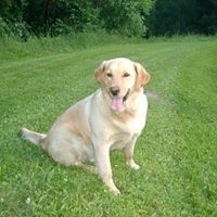 Find Thomas Bradford Johnson Phone Number, Location, Email, and more on Intelius