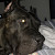 Find Thomas Jones Phone Number, Location, Email, and more on Intelius
