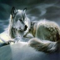 Find Thomas Lamb Phone Number, Location, Email, and more on Intelius