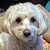 Find Thomas Bradley Maxwell Phone Number, Location, Email, and more on Intelius