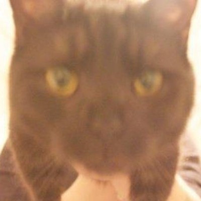 Find Thomas Joseph Omen Phone Number, Location, Email, and more on Intelius