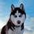 Find Tim O Marquez Phone Number, Location, Email, and more on Intelius