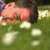 Find Timothy Neil Travitz Phone Number, Location, Email, and more on Intelius