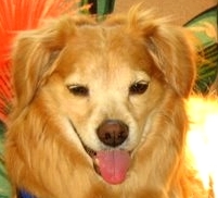 Find Tom T Pack Phone Number, Location, Email, and more on Intelius