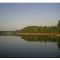 Find Tom M Ransbotham Phone Number, Location, Email, and more on Intelius