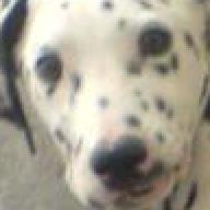 Find Tom L Stuart Phone Number, Location, Email, and more on Intelius