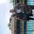 Find Tony Lamorte Phone Number, Location, Email, and more on Intelius