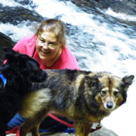 Find Traci Lynn Bell Phone Number, Location, Email, and more on Intelius