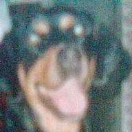 Find Tracy Lynn Deese Phone Number, Location, Email, and more on Intelius
