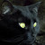 Find Tracy Evans Phone Number, Location, Email, and more on Intelius