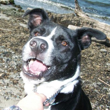 Find Tracy Niles Galloway Phone Number, Location, Email, and more on Intelius