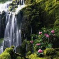Find Tracy Lynn Langley Phone Number, Location, Email, and more on Intelius