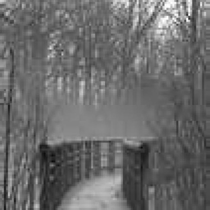 Find Tracy Lee Unick Phone Number, Location, Email, and more on Intelius