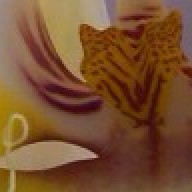 Find Tracy A Willis Phone Number, Location, Email, and more on Intelius