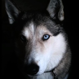 Find Trevor S Baker Phone Number, Location, Email, and more on Intelius
