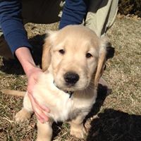 Find Troy Patrick Lepper Phone Number, Location, Email, and more on Intelius