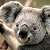 Find Tyler B Beal Phone Number, Location, Email, and more on Intelius