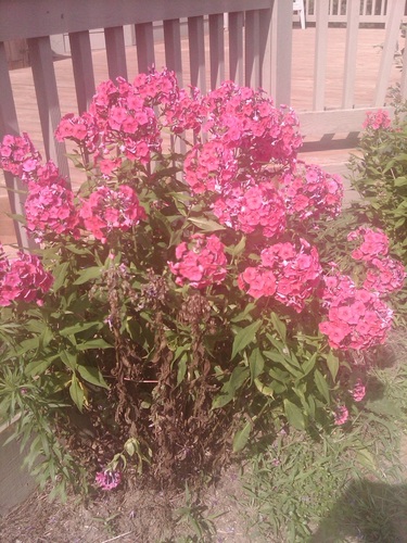 Find Valerie Ann Matteson Phone Number, Location, Email, and more on Intelius