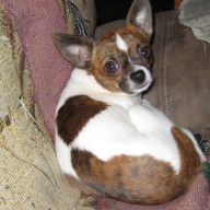 Find Vicki Sue Hanley Phone Number, Location, Email, and more on Intelius