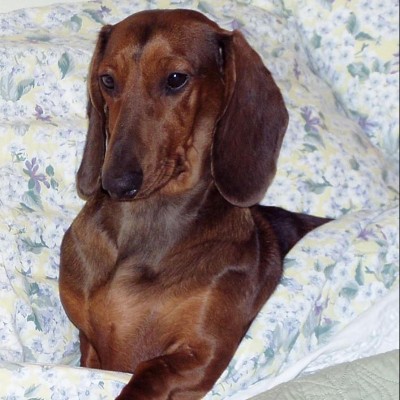 Find Vicki L Simons Phone Number, Location, Email, and more on Intelius