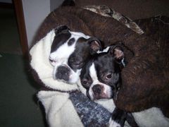 Find Vicki Lynn Weeks Phone Number, Location, Email, and more on Intelius