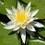 Find Vimala M Rajendran Phone Number, Location, Email, and more on Intelius