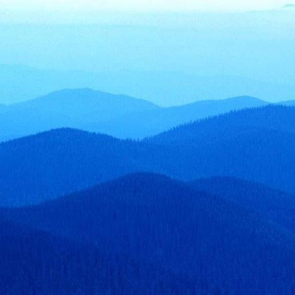 Find Vincent Reginald Williams Phone Number, Location, Email, and more on Intelius