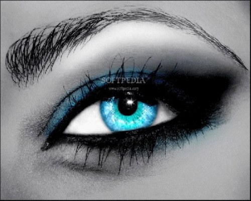 Find Violeta J Paljevic Phone Number, Location, Email, and more on Intelius