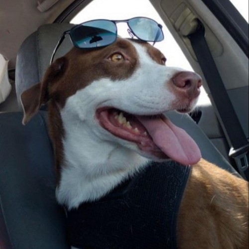 Find Walter Charles Butler Phone Number, Location, Email, and more on Intelius