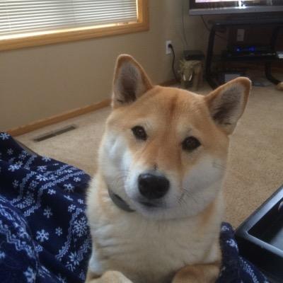 Find Wendy Marie Scheidt Phone Number, Location, Email, and more on Intelius