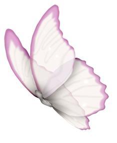 Find Wendy Gail Silvers Phone Number, Location, Email, and more on Intelius