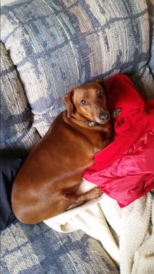 Find Wendy C Stone Phone Number, Location, Email, and more on Intelius