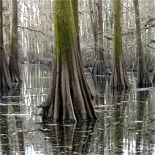 Find William J Butler Phone Number, Location, Email, and more on Intelius