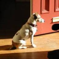 Find William R Murphy Phone Number, Location, Email, and more on Intelius