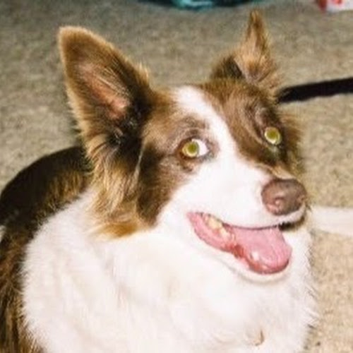 Find William J Nusbaum Phone Number, Location, Email, and more on Intelius