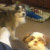 Find William M Slama Phone Number, Location, Email, and more on Intelius