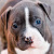 Find William Raymond Smith Phone Number, Location, Email, and more on Intelius