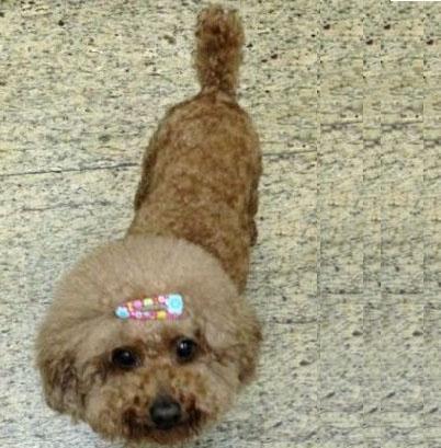 Find Ying Wang Phone Number, Location, Email, and more on Intelius