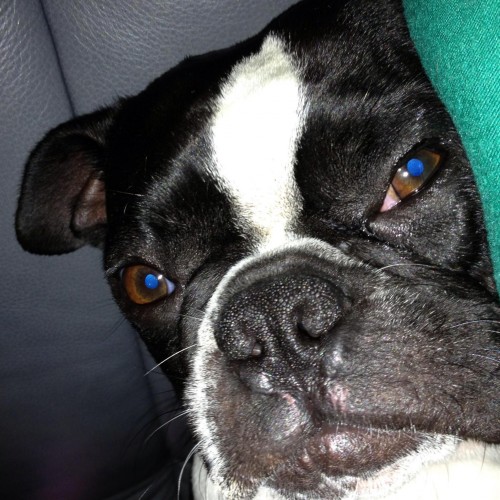 Find Zachary D Smith Phone Number, Location, Email, and more on Intelius